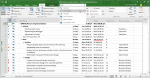 Microsoft Project Professional 2019 Open Government